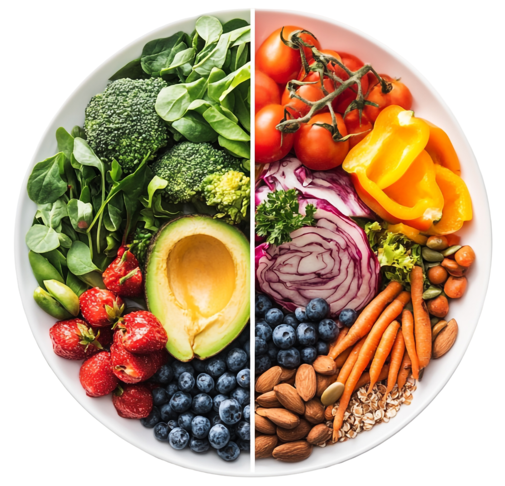alimentation